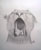Lioness Yawning - Pencil - A2